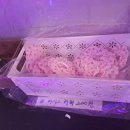 코인박스동전 노래연습장 이미지