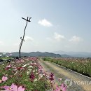 지나는길에 이미지