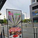 식물병원푸름팜 | ​[대전/아이와 가볼만한곳] 도심 속 초록 힐링, 스마트팜 체험 방문기