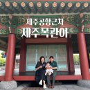 제주목관아 | 제주공항 근처 가볼만한 곳 부모님 아기랑 봄 여행 추천 코스 제주목관아