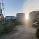 두손고기) 이미지