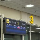 찬라이 | 2025.11 나트랑 꽉찬 2일 여행(디셈버호텔, 마담프엉, 김청환전소, 담시장, 라이씨푸드)