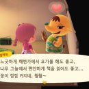 솔미캠핑장 이미지