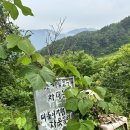 하늘길쉼터민박 | 하동 여행 가볼만한 곳 #하늘호수차밭 지리산둘레길 경치좋은 여행자 쉼터 #하늘호수민박