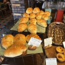 뉴이태리안경 이미지