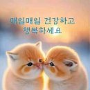 추억의 서부영화 ost 이미지