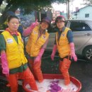 옥천세탁 이미지