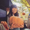 2022.10.21~23 강원도 인제 미산분교캠핑장 대형견12번 사이트 이용후기