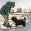 24시 더원 동물병원 이미지