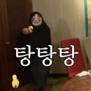 스테이 사녹 이미지