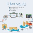 [호주여행 2일차] 멜버른 조이투어 그레이트오션로드 투어 후기 / 호주 스테이크 MEATMAIDEN