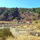 여울애꽃물들인 이미지