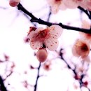 중동공원 이미지