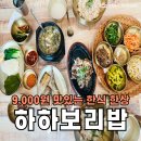 울산 성안동 맛집 맛있는 9000원 한식 한상 하하보리밥