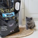 주식회사 카디날코리아 이미지