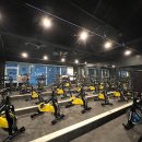 미녀와야수짐 향남점 이미지