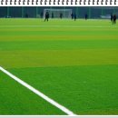 수안보생활체육공원다목적구장 이미지