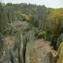 석림4로 이미지