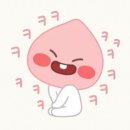 젤리댕댕이 이미지