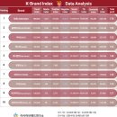 리센느, 블랙핑크·아이브 제치고 선두…K-브랜드지수 걸그룹 부문 1위 대반전 이미지