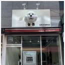 늘봄 그루밍 이미지