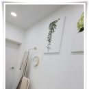 찐브로우