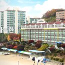 성남서중학교 이미지
