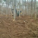 산양농장 이미지