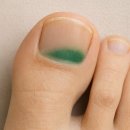 녹색정형외과의원 이미지