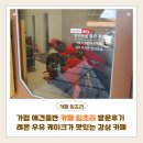 카페;레몬 | 가평 애견동반 카페 임초리 방문후기 | 레몬 우유 케이크가 맛있는 감성 카페