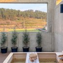 판포2060 이미지