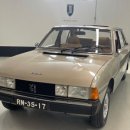 G&B골프 | 바게트향 G바겐 - 푸조 P4