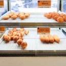 꽈배기패밀리 이미지