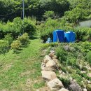 신세기공인중개사사무소 이미지