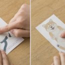 멍멍이발바닥 이미지