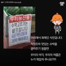 잘 익은 수박 고르기 이미지