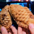 굴화스크린 이미지