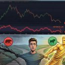 비트코인 주간 RSI, 역사적 저점 근접했다… 위기는 기회 이미지
