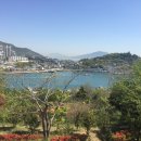 돌산막창 이미지