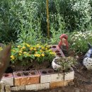 사랑이있는작은도서관 이미지