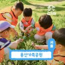 토루생태체험 | 아이와 함께 용산가족공원 숲체험 다녀온 솔직한 후기