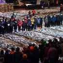 부산공동어시장 이미지