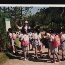 범일초등학교1 Daum카페