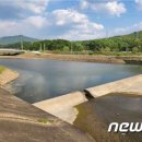 구룡천제방 이미지