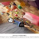 타이거볼더클라이밍짐 이미지