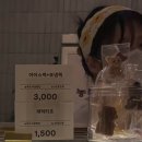 망고스토어 | 부산 범일 커넥트현대 랑꽁뜨레 망고케이크 팝업스토어 솔직 후기
