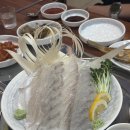 J-043 | 분평동 횟집 쥐치마을문어바다 스키다시+회 재방문의사 100%후기