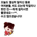 쌍용카마스타 이미지