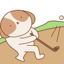 쇼골프 가양점 이미지