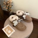 안다로미 이미지